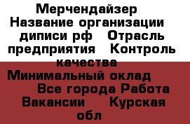 Мерчендайзер › Название организации ­ диписи.рф › Отрасль предприятия ­ Контроль качества › Минимальный оклад ­ 20 000 - Все города Работа » Вакансии   . Курская обл.